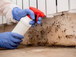 Best Commercial Mold Inspection  in East Rockaway, NY